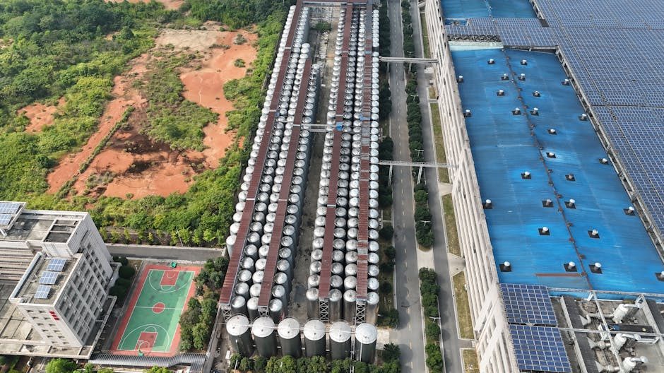 蓝莓果汁小瓶装生产线利润深度调研：成本结构与市场前景解析
