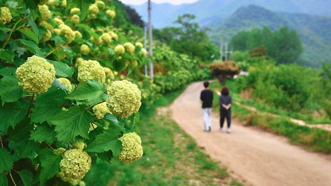 种植蓝莓一亩利润多少条件