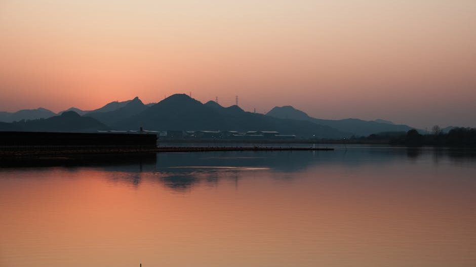 蓝莓庄园花海回报模式引发行业关注